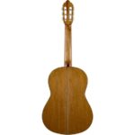 Valencia VC404 Klasik Gitar (Kılıf Hediyeli) - Görsel 2