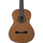 MARTINEZ MC-20C Klasik Gitar - Görsel 3