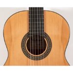 Valler VG517 Klasik Gitar - Görsel 3