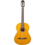 Valencia VC204H Klasik Gitar