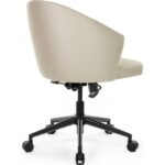 Seduna Dauphin Çalışma Sandalyesi Ofis Koltuğu - Görsel 4