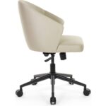 Seduna Dauphin Çalışma Sandalyesi Ofis Koltuğu - Görsel 3