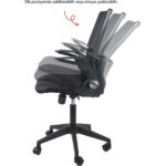 Aule B1 Çalışma Sandalyesi, Açılabilir Kol Çalışma Koltuğu, Bilgisayar Ofis Sandalyesi - Görsel 3