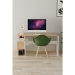 EVDEMO Leo Kitaplıklı Çalışma Masası Atlantik Çam - Görsel 2