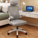 Karr Office Oslo Ergonomik Çalışma Sandalyesi