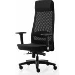 xDrive Tarsus Business Çalışma Koltuğu Kumaş Siyah - Görsel 5