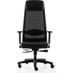 xDrive Tarsus Business Çalışma Koltuğu Kumaş Siyah