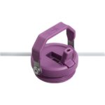 Stanley The Iceflow Flip Straw Pipetli Termos 0,89 L Lila - Görsel 3