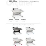 Creo Mobili Fonksiyonel Genç Odası Masası Çekmeceli, Yükseklik Ayarlı - 120x75 Cm, Beyaz/Gri - Sirius Standart - Görsel 9