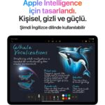 Apple iPad Air M3 13" 1tb Wi-Fi Uzay Grisi MCQ04TU/A - Görsel 8