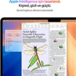 Apple MacBook Air M4 16GB 256GB SSD macOS 13" Taşınabilir Bilgisayar Yıldız Işığı MW0Y3TU/A - Görsel 6
