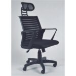 Arslan Çit Ev ve Ofis Çalışma Koltuğu Öğrenci Sandalyesi Döner Sandalye Patron Koltuğu