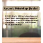 Canon Maxıfy GX6040 Mürekkep Tanklı Yazıcı - Görsel 4