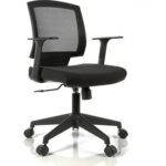 Goldsit Rex One 100P