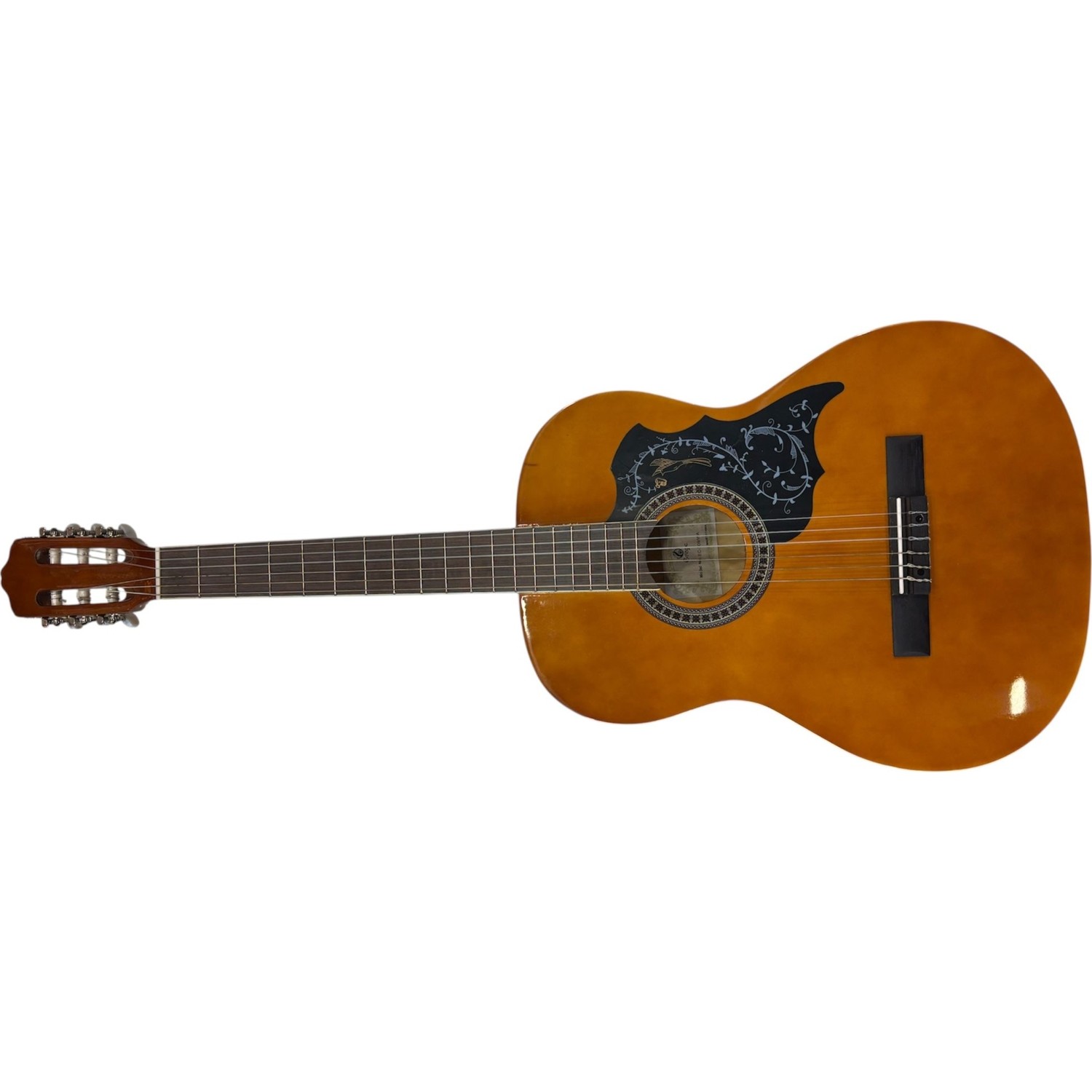 110001152970854.jpg Grape 4/4 Klasik Gitar EC-309WA - Görsel 1