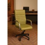 Sadık Ofis Staryo Yeşil Bilgisayar Koltuğu – Ergonomik Bel Destekli, Ayarlanabilir Yükseklikli