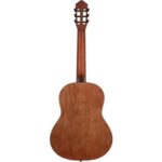 Ortega RSTC5M Student Series Klasik Gitar (Mat Natural) - Görsel 2