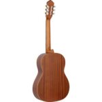 Ortega R131SN Family Series Pro Klasik Gitar (Natural) - Görsel 4