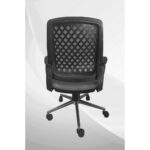 Alphina Auris Ergonomik Ofis / Büro ve Öğrenci Çalışma Sandalyesi – Koltuğu (Krom Ayaklı) - Görsel 4