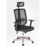 Alphina Livora Ergonomik Ofis / Büro ve Öğrenci Çalışma Sandalyesi – Koltuğu (Krom Ayaklı)