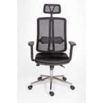 Alphina Livora Ergonomik Ofis / Büro ve Öğrenci Çalışma Sandalyesi – Koltuğu (Krom Ayaklı) - Görsel 2