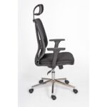 Alphina Livora Ergonomik Ofis / Büro ve Öğrenci Çalışma Sandalyesi – Koltuğu (Krom Ayaklı) - Görsel 3