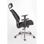 Alphina Livora Ergonomik Ofis / Büro ve Öğrenci Çalışma Sandalyesi – Koltuğu (Krom Ayaklı) - Görsel 4