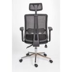 Alphina Livora Ergonomik Ofis / Büro ve Öğrenci Çalışma Sandalyesi – Koltuğu (Krom Ayaklı) - Görsel 5