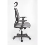 Alphina Livora Ergonomik Ofis / Büro ve Öğrenci Çalışma Sandalyesi – Koltuğu - Görsel 3