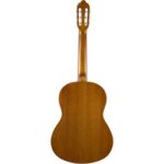 Valencia VC204 Klasik Gitar (Kılıf Hediyeli) - Görsel 2